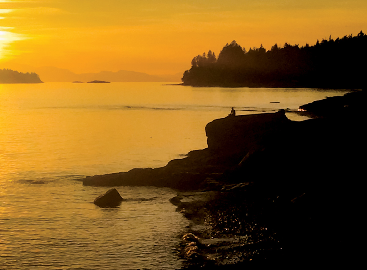 hypnotherapy sunshine coast