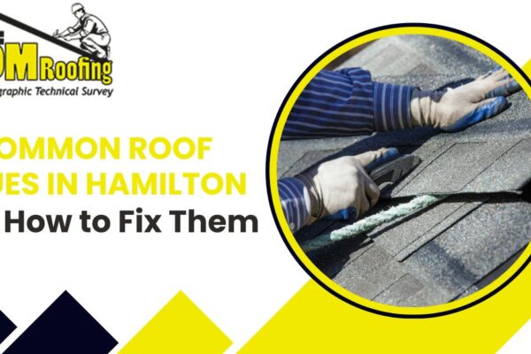 Common Roof Issues in Hamilton and How to Fix Them Common Roof Issues in Hamilton