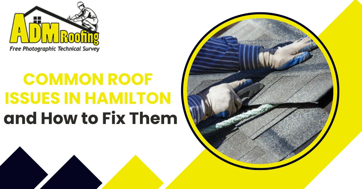 Common Roof Issues in Hamilton