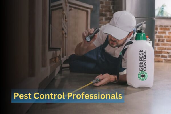 Top Reasons to Rely on Professional Pest Control Services Top Reasons to Rely on Professional Pest Control Services