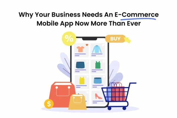 Why Your Business Needs a Custom eCommerce Application Why Your Business Needs a Custom eCommerce Application