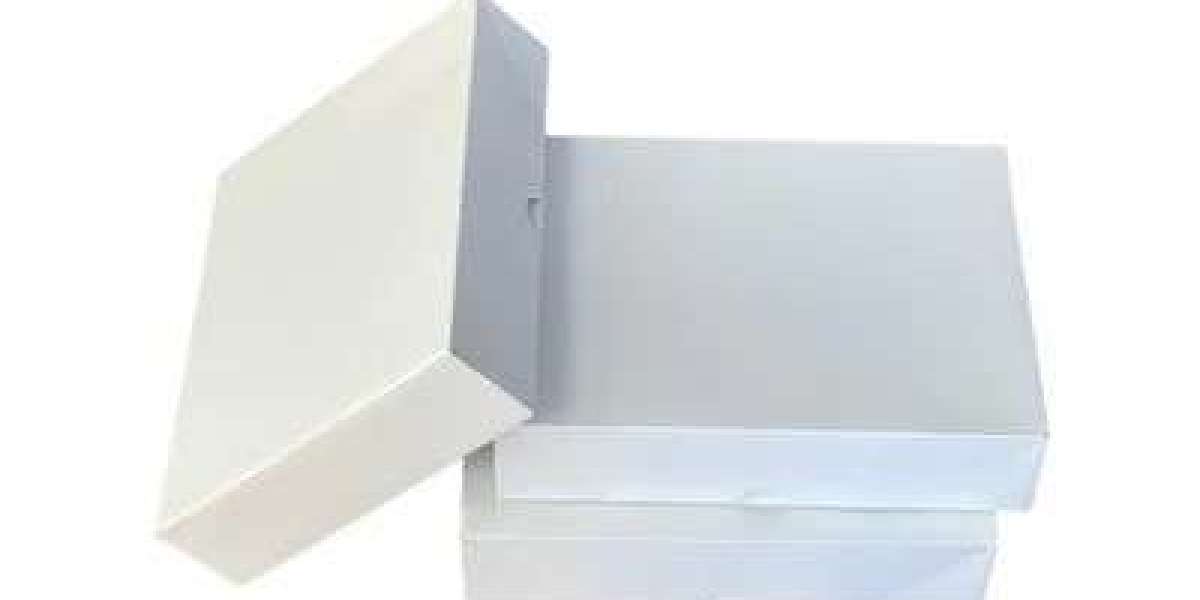 Custom Letterhead Envelopes