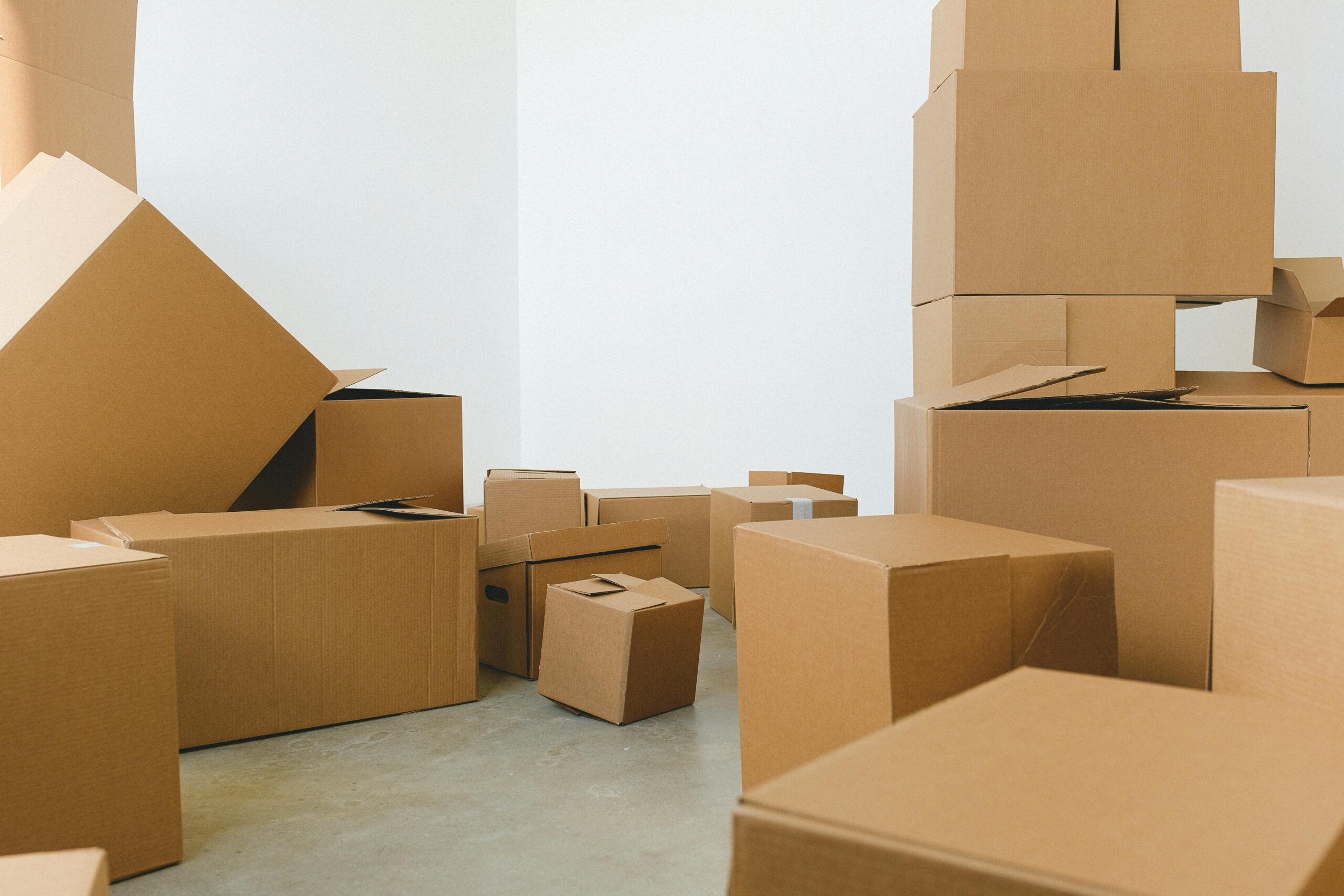 cardboard inserts