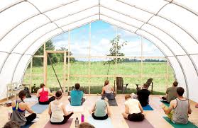 "How to Choose the Perfect Yoga Studio in Canada for Your Needs"