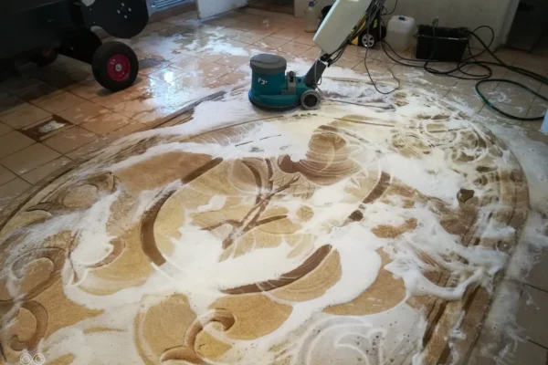 Area Rug vs. Oriental Rug Cleaning What San Diego Residents Should Know